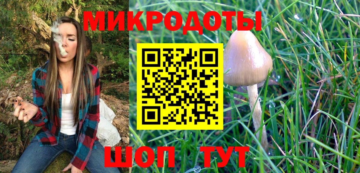Галлюциногенные грибы прущие грибы Лыткарино
