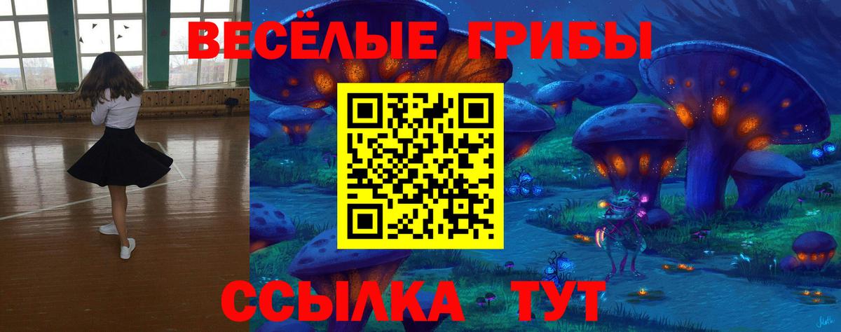 Лыткарино  Галлюциногенные грибы Magic Shrooms  сколько стоит  Вход с VPN 
